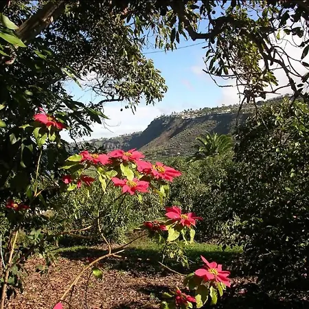 Home2book Charming Juanita, Among Avocados La Orotava